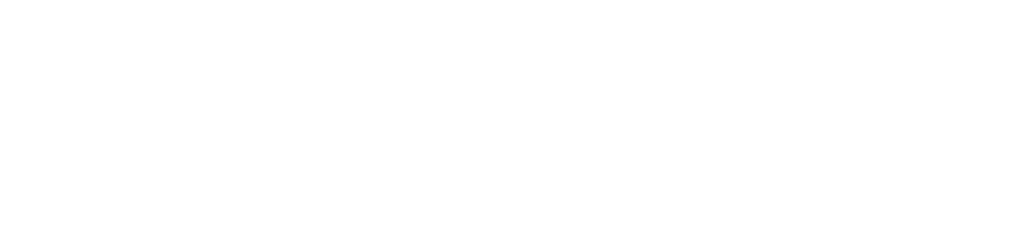 Blugue CRM